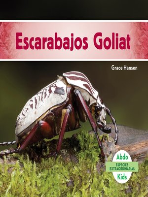 cover image of Escarabajos Goliat (Goliath Beetles) (Spanish Version)